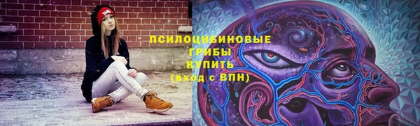 молекула духа Абинск
