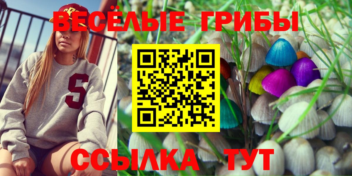 Псилоцибиновые грибы GOLDEN TEACHER  Псилоцибиновые грибы Psilocybe  где купить наркоту  Вход с VPN  Алатырь 