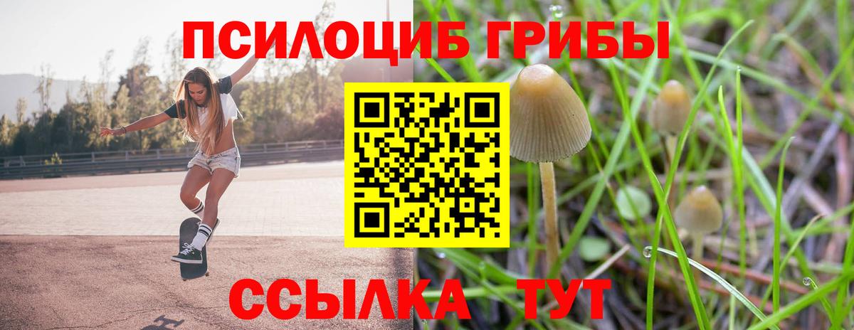 Галлюциногенные грибы GOLDEN TEACHER Алатырь